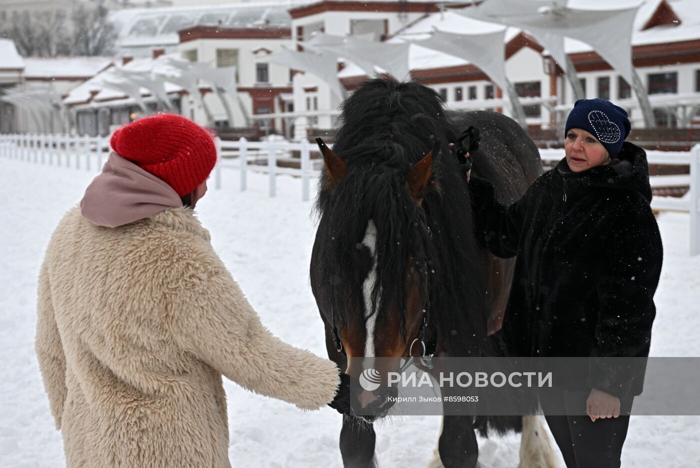 Выставка "Россия". Демонстрация лошадей породы "Владимирский тяжеловоз"