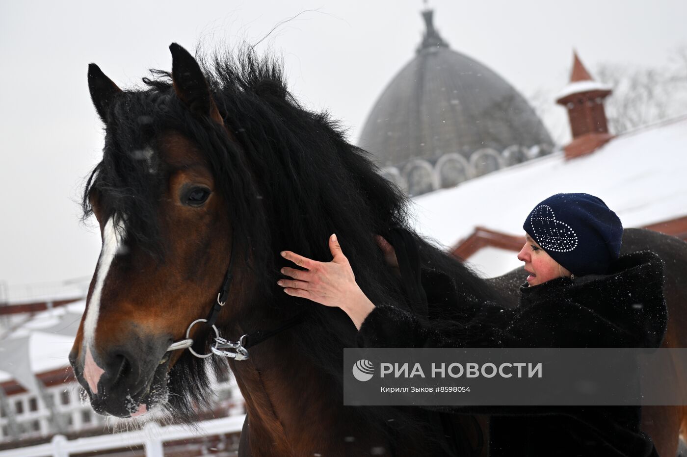 Выставка "Россия". Демонстрация лошадей породы "Владимирский тяжеловоз"