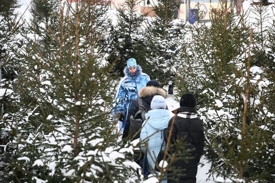 Международная выставка-форум "Россия"
Фестиваль "Русская зима" Место: Россия, Москва. Автор: Владимир Астапкович/РИА Новости. Выставка "Россия". Фестиваль "Русская зима"