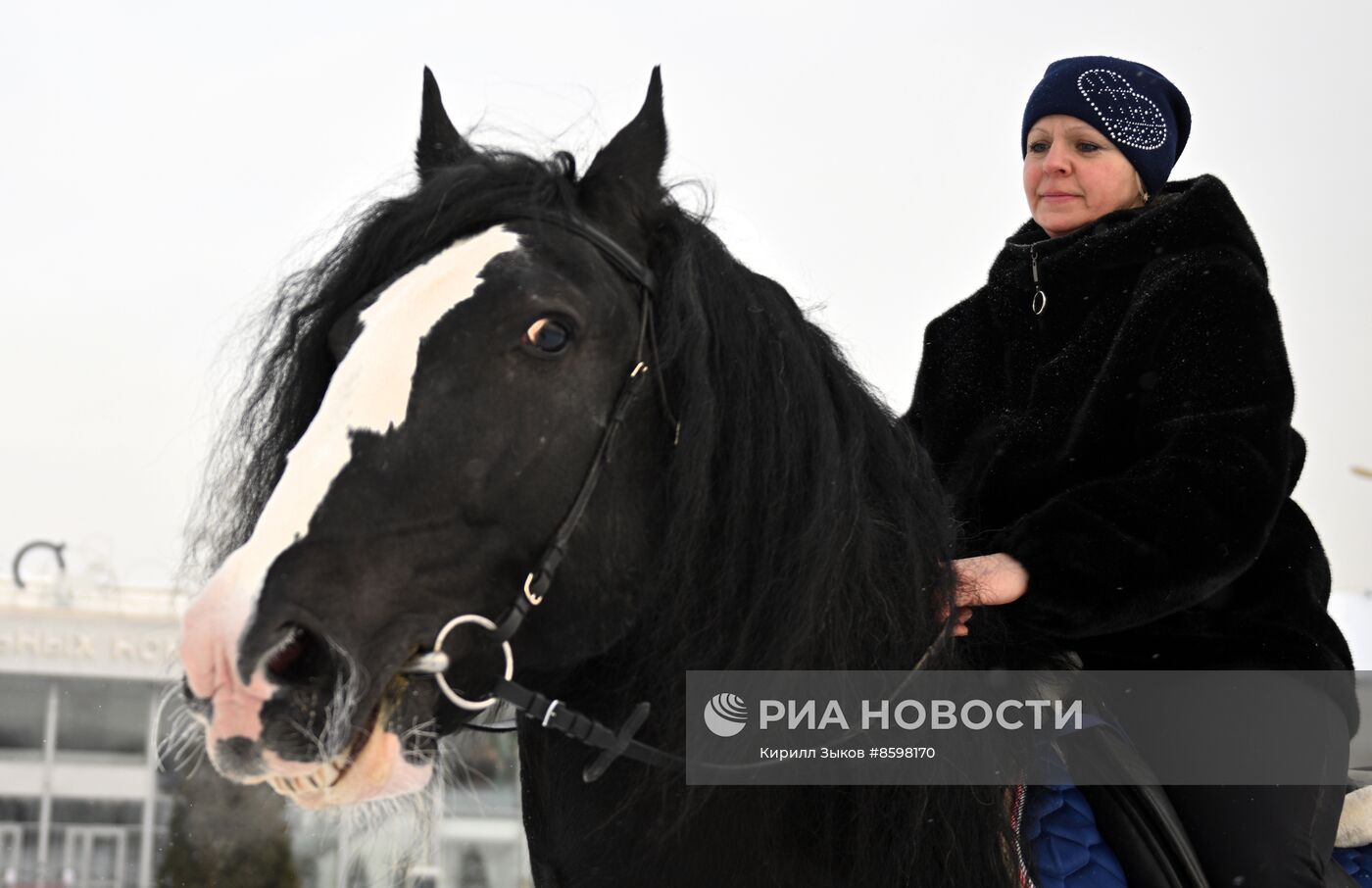 Выставка "Россия". Демонстрация лошадей породы "Владимирский тяжеловоз"