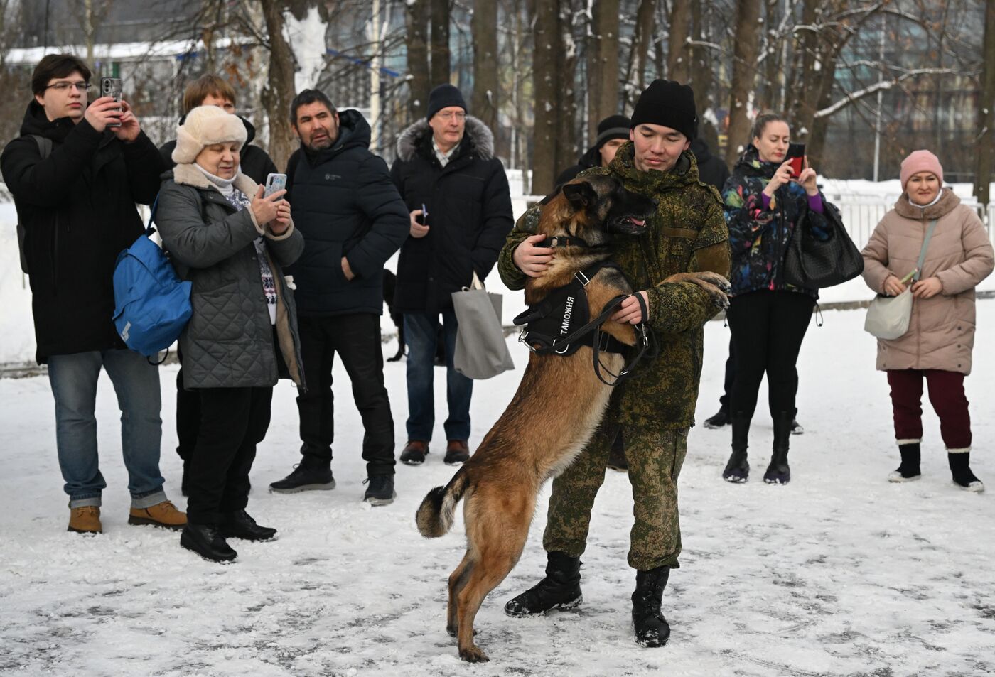 Выставка "Россия". Кинологи ФТС показали навыки служебных собак в формате мастер-класса