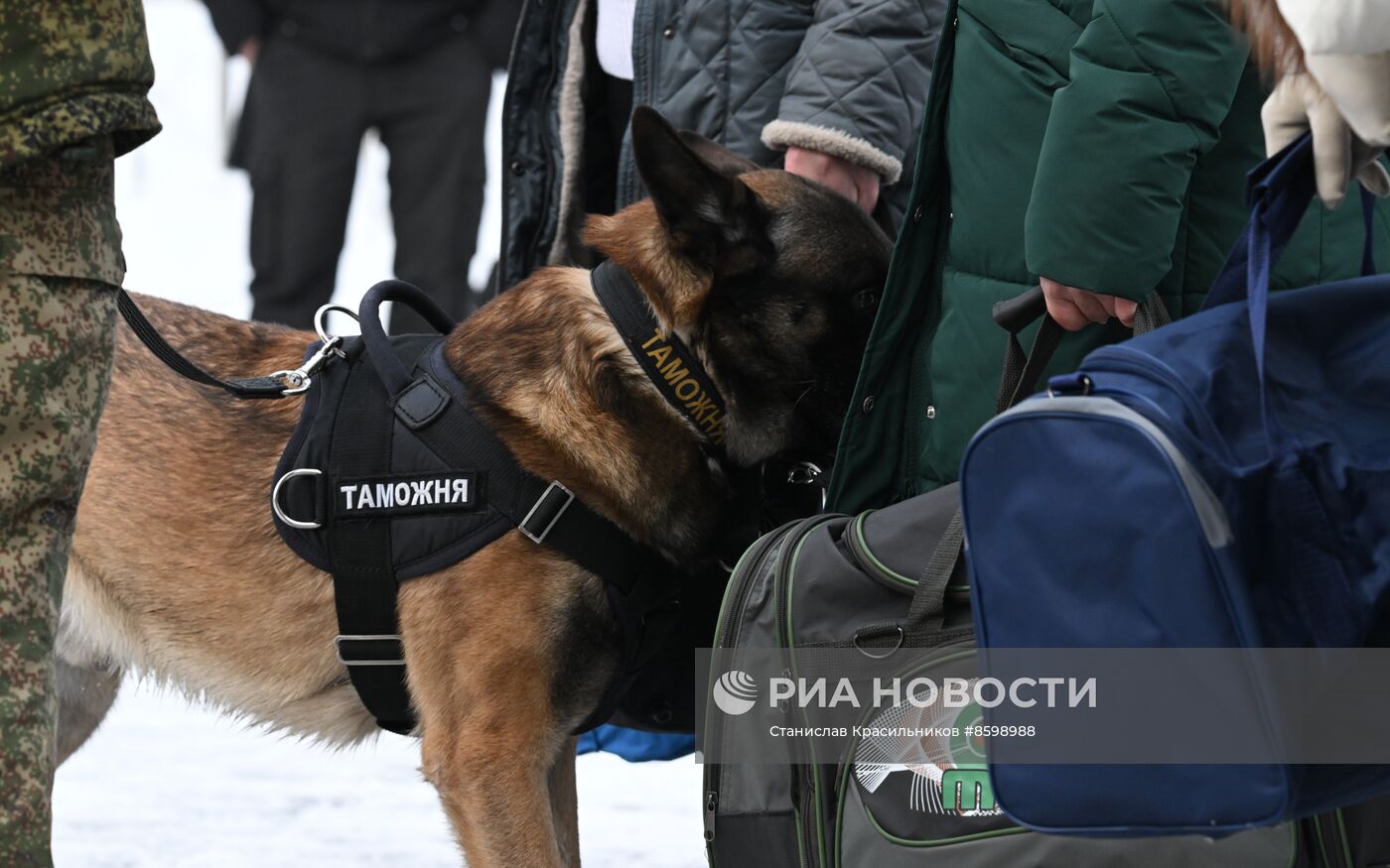 Выставка "Россия". Кинологи ФТС показали навыки служебных собак в формате мастер-класса