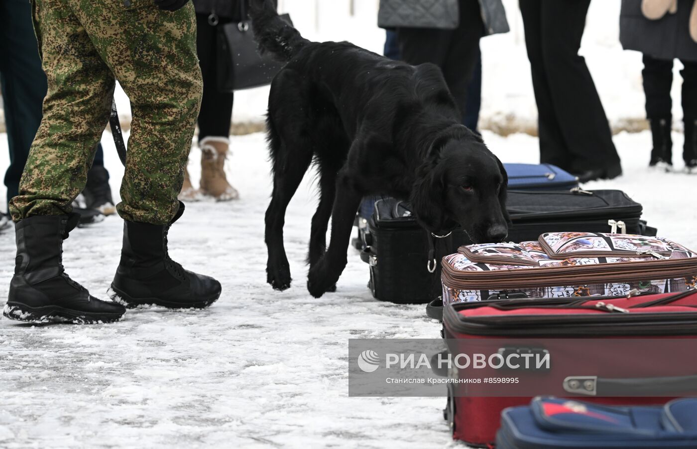 Выставка "Россия". Кинологи ФТС показали навыки служебных собак в формате мастер-класса