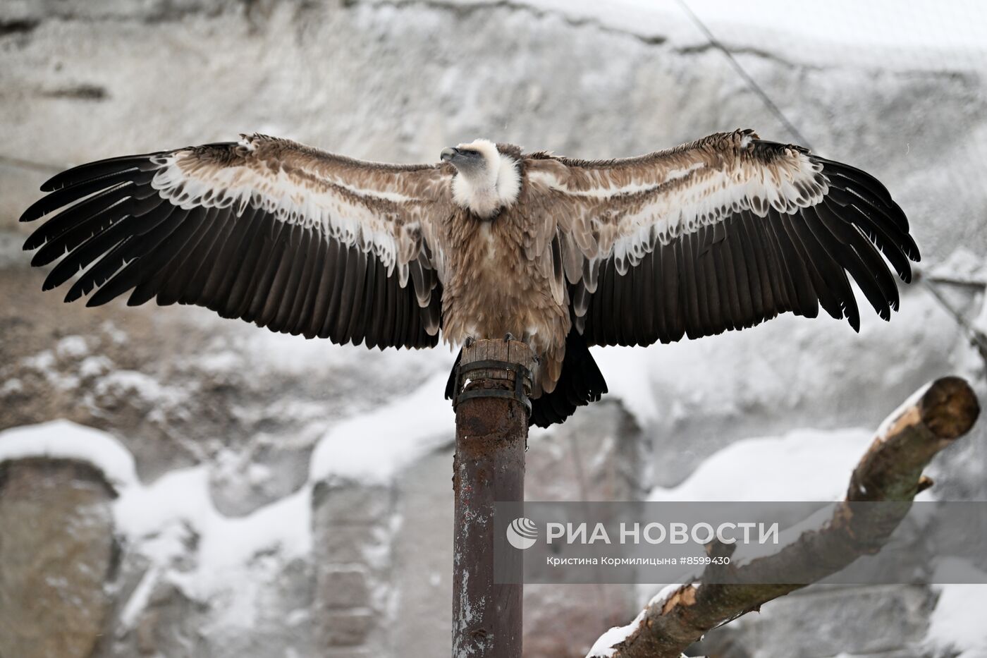 Московский зоопарк