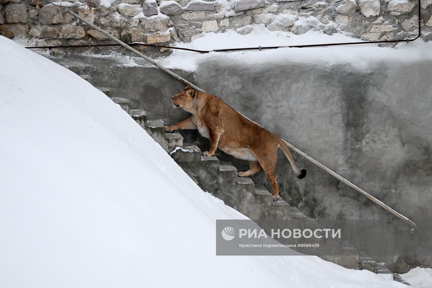 Московский зоопарк