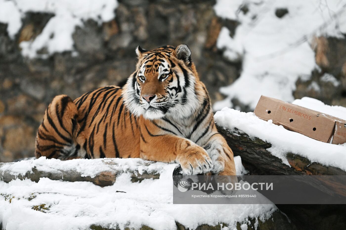 Московский зоопарк