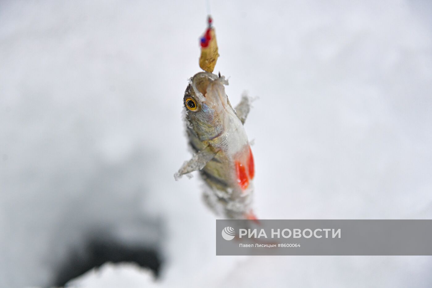 Зимняя рыбалка в Свердловской области