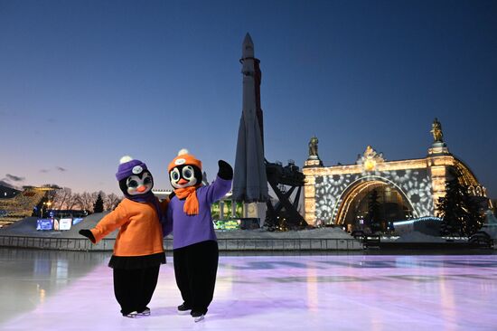 Выставка "Россия". Анимационная программа с талисманами хоккейных команд от Челябинской и Свердловской областей