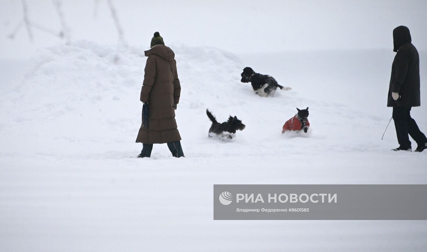 Снег в Москве