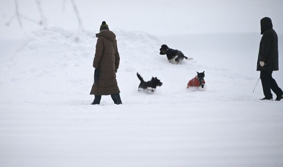 Снег в Москве