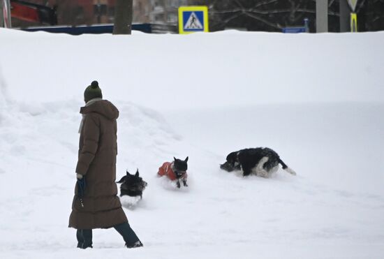 Снег в Москве