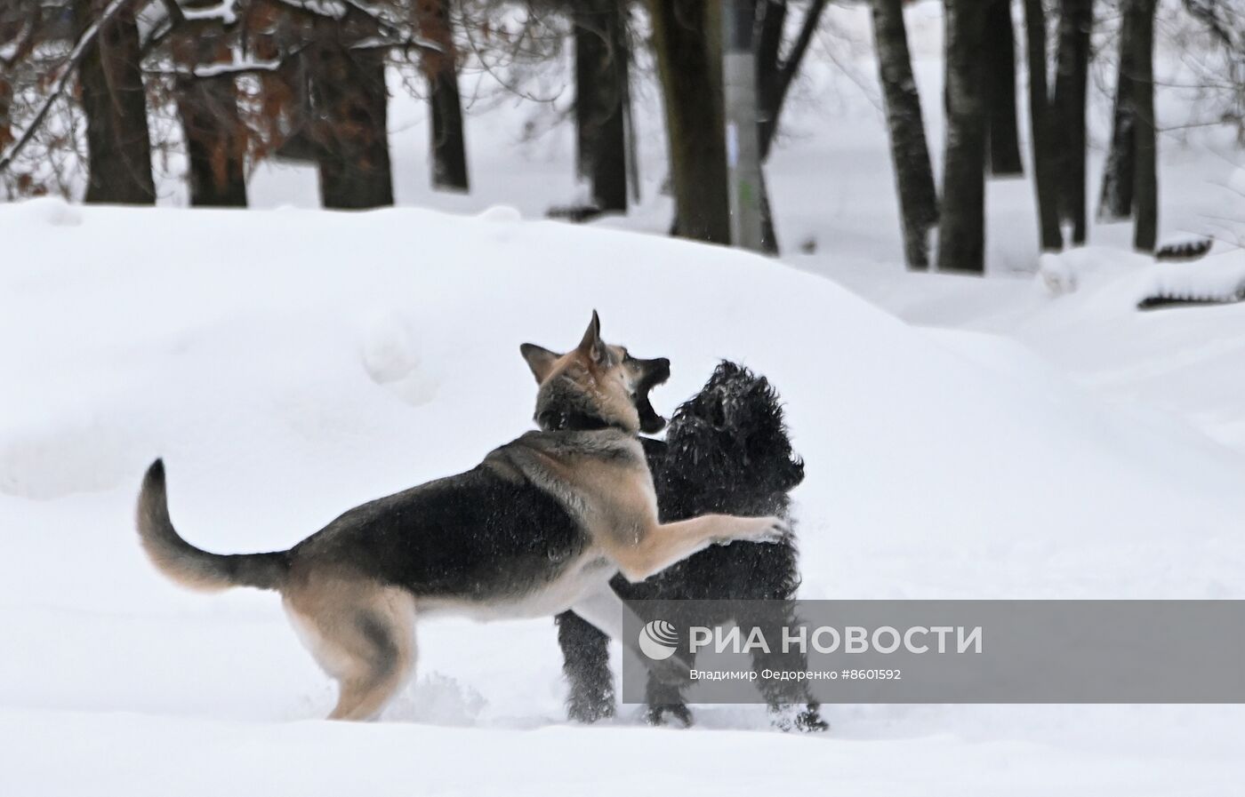 Снег в Москве