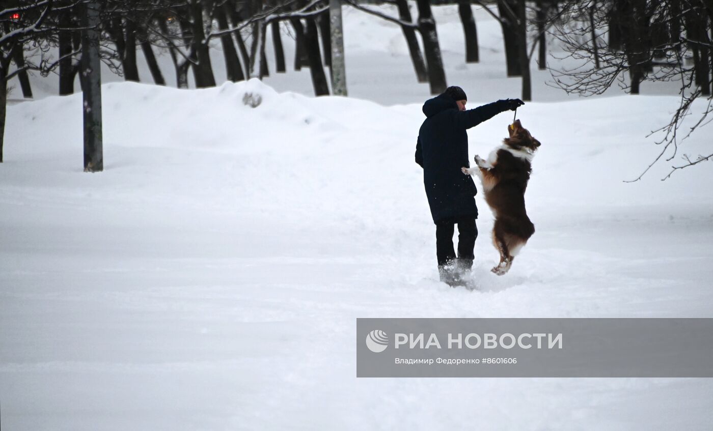 Снег в Москве