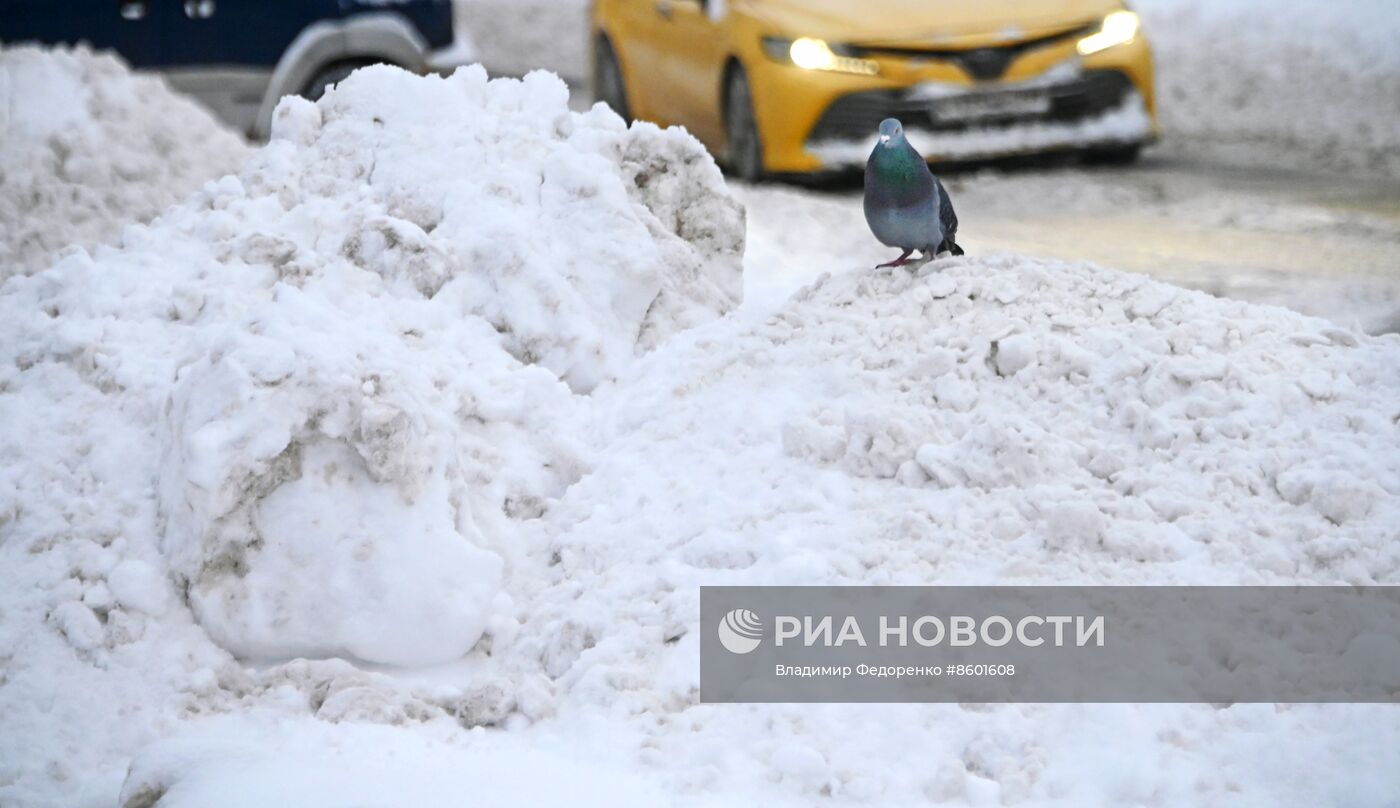 Снег в Москве