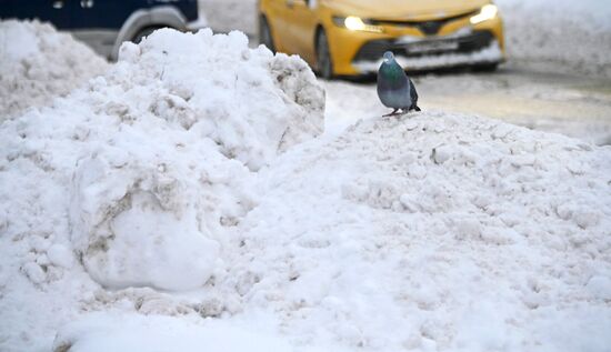 Снег в Москве