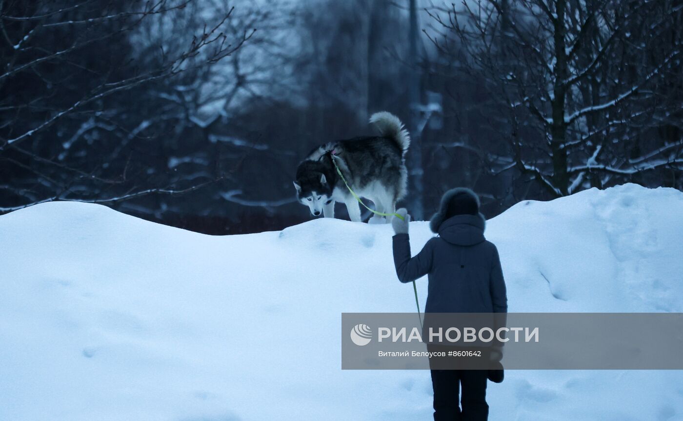 Снег в Москве