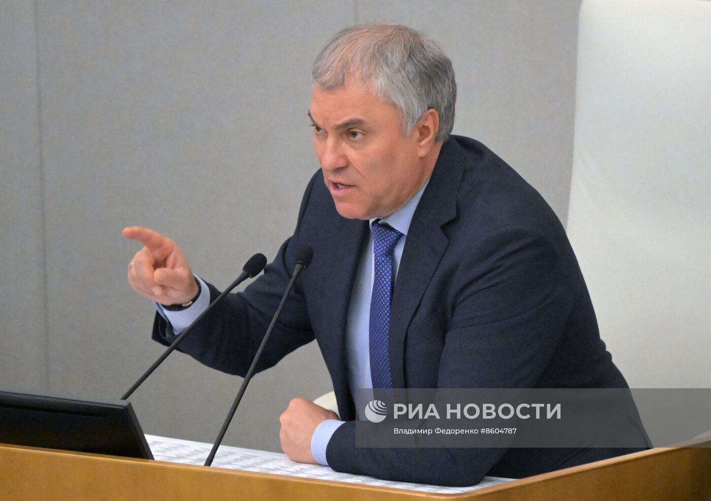 Пленарное заседание Госдумы РФ 