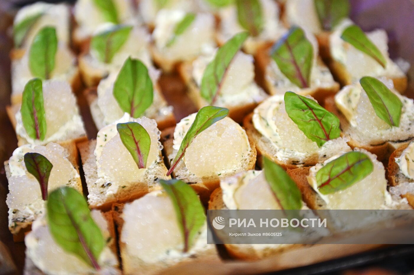 Выставка "Россия". Дальний Восток и Арктика. День региона