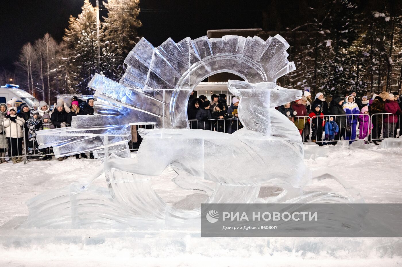 Конкурс "Бешеная пила" в Мурманской области