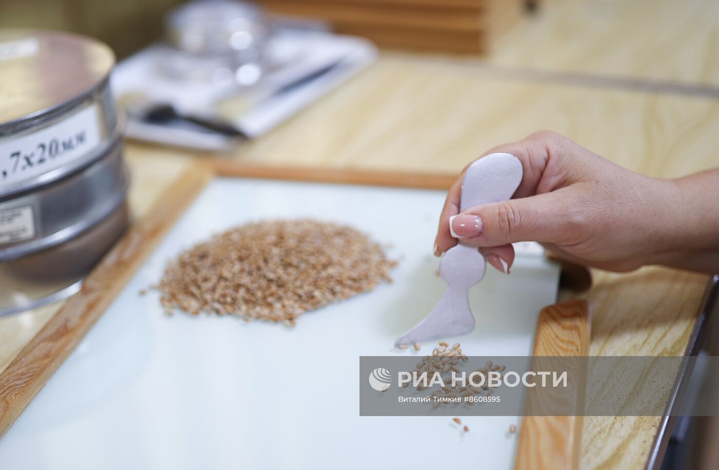 Производство муки в Краснодарском крае