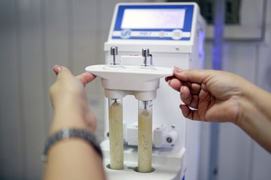 Производство муки в Краснодарском крае