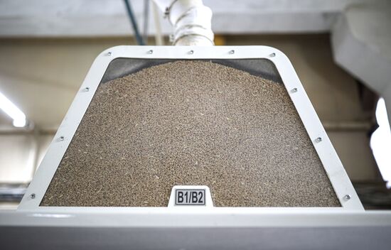 Производство муки в Краснодарском крае