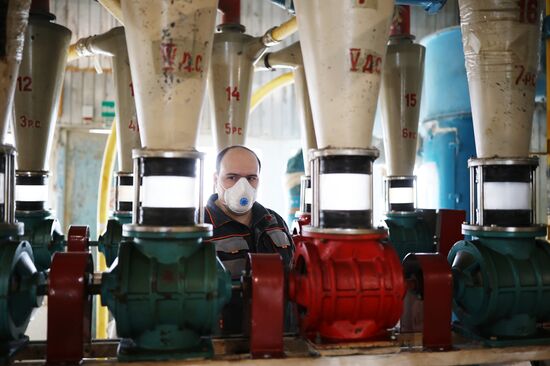 Производство муки в Краснодарском крае