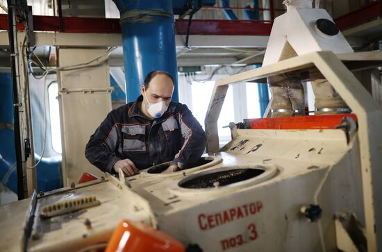 Производство муки в Краснодарском крае