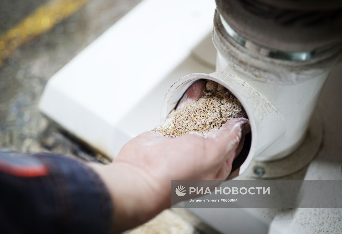 Производство муки в Краснодарском крае