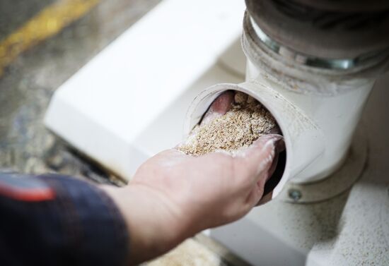 Производство муки в Краснодарском крае