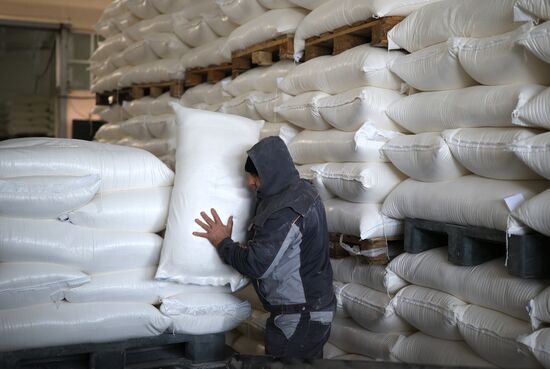 Производство муки в Краснодарском крае