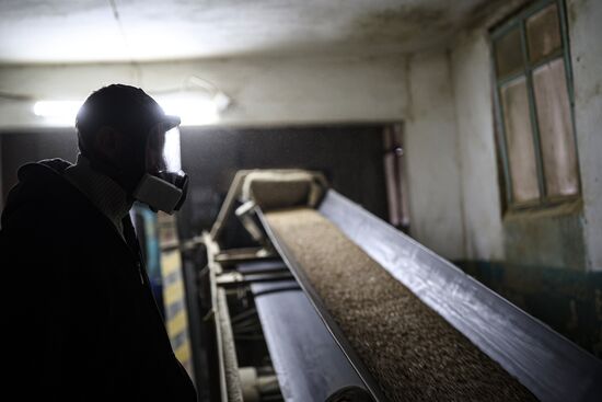 Производство муки в Краснодарском крае