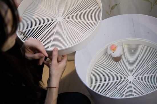 Изготовление игрушек из ваты в советском стиле в Тюмени