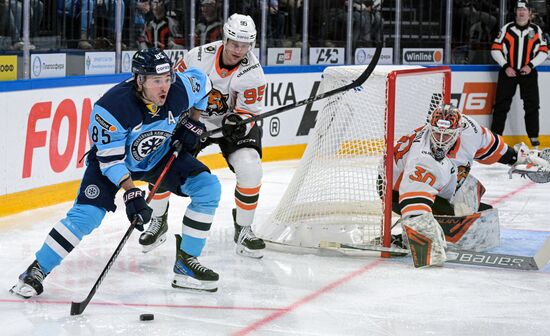 Хоккей. КХЛ. Матч "Сибирь"-"Амур"