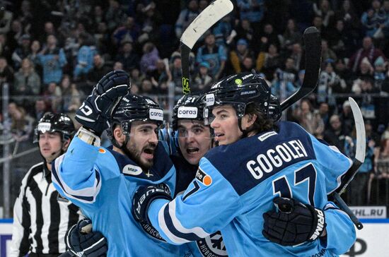 Хоккей. КХЛ. Матч "Сибирь"-"Амур"