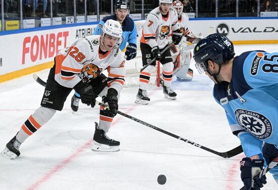 Хоккей. КХЛ. Матч "Сибирь"-"Амур"