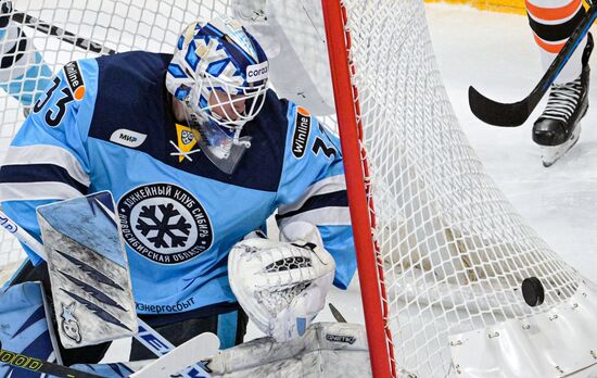 Хоккей. КХЛ. Матч "Сибирь"-"Амур"