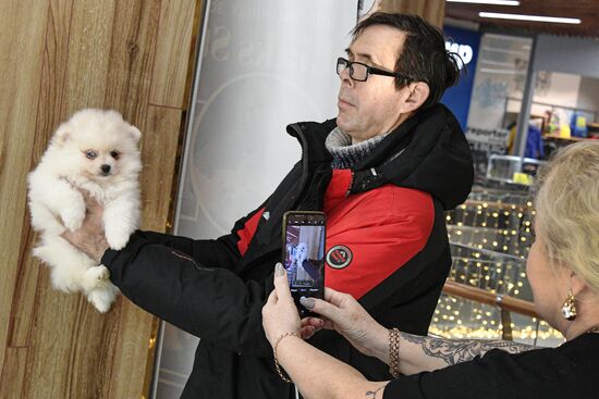 Выставка котят и щенков во Владивостоке