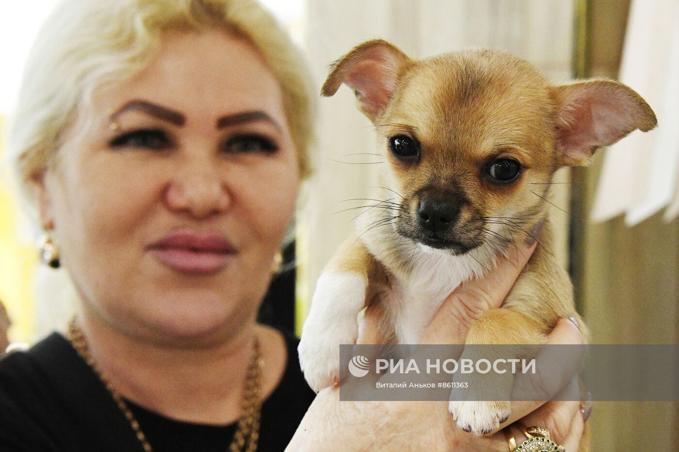 Выставка котят и щенков во Владивостоке