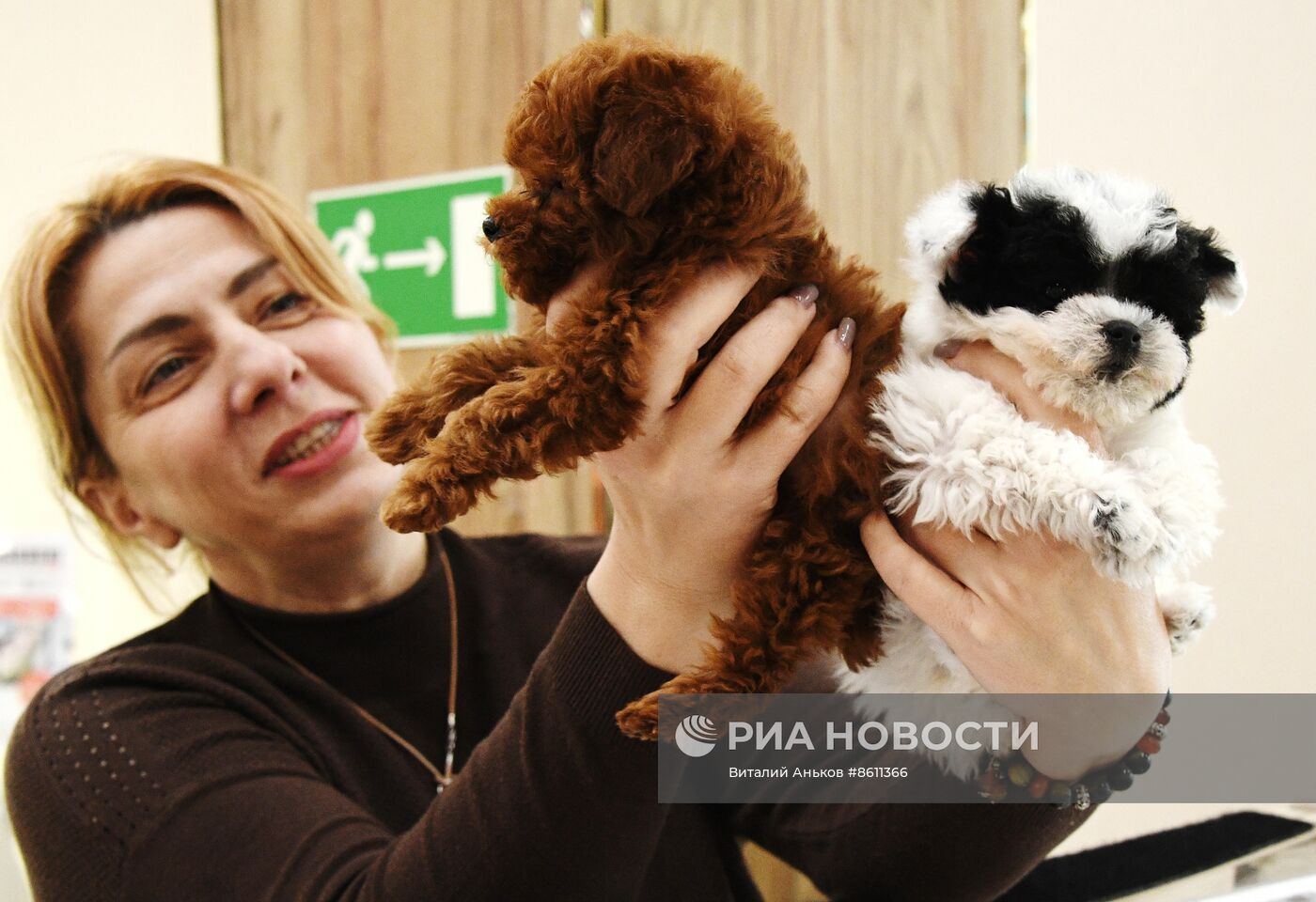 Выставка котят и щенков во Владивостоке