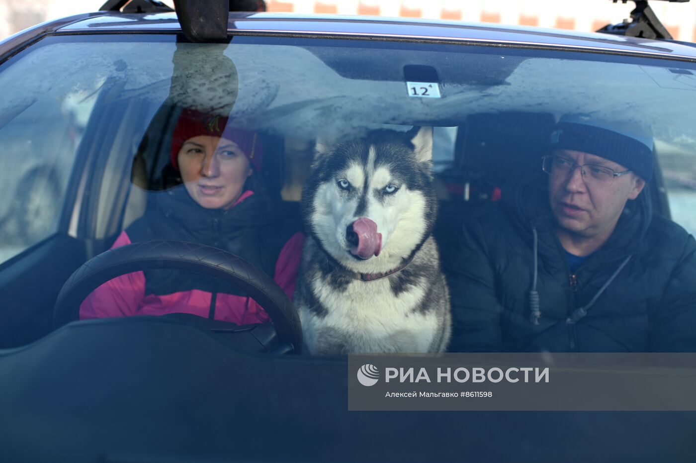 Соревнования по ездовому спорту в Омской области