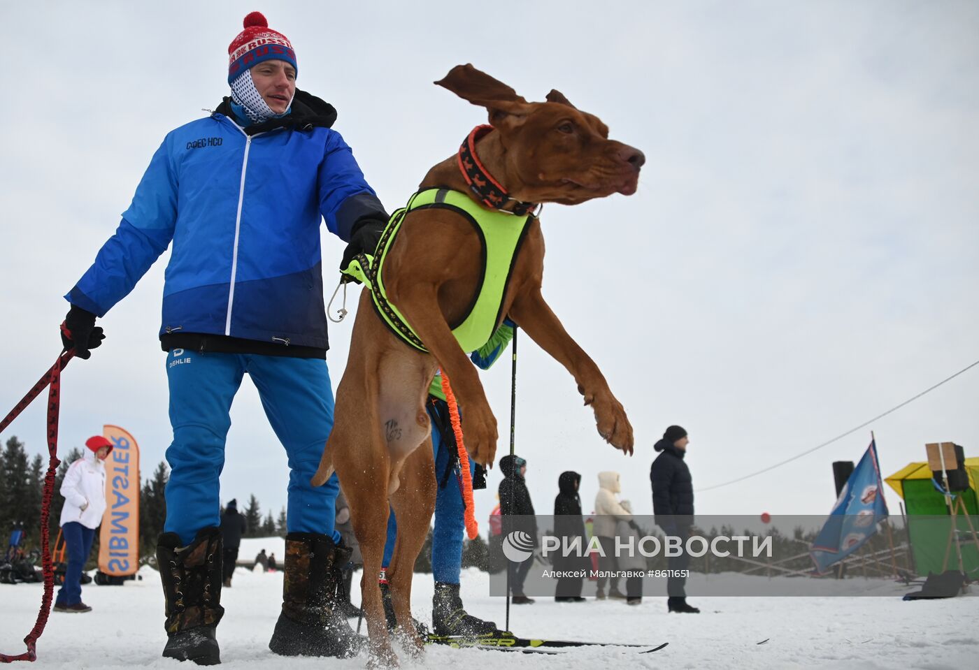 Соревнования по ездовому спорту в Омской области