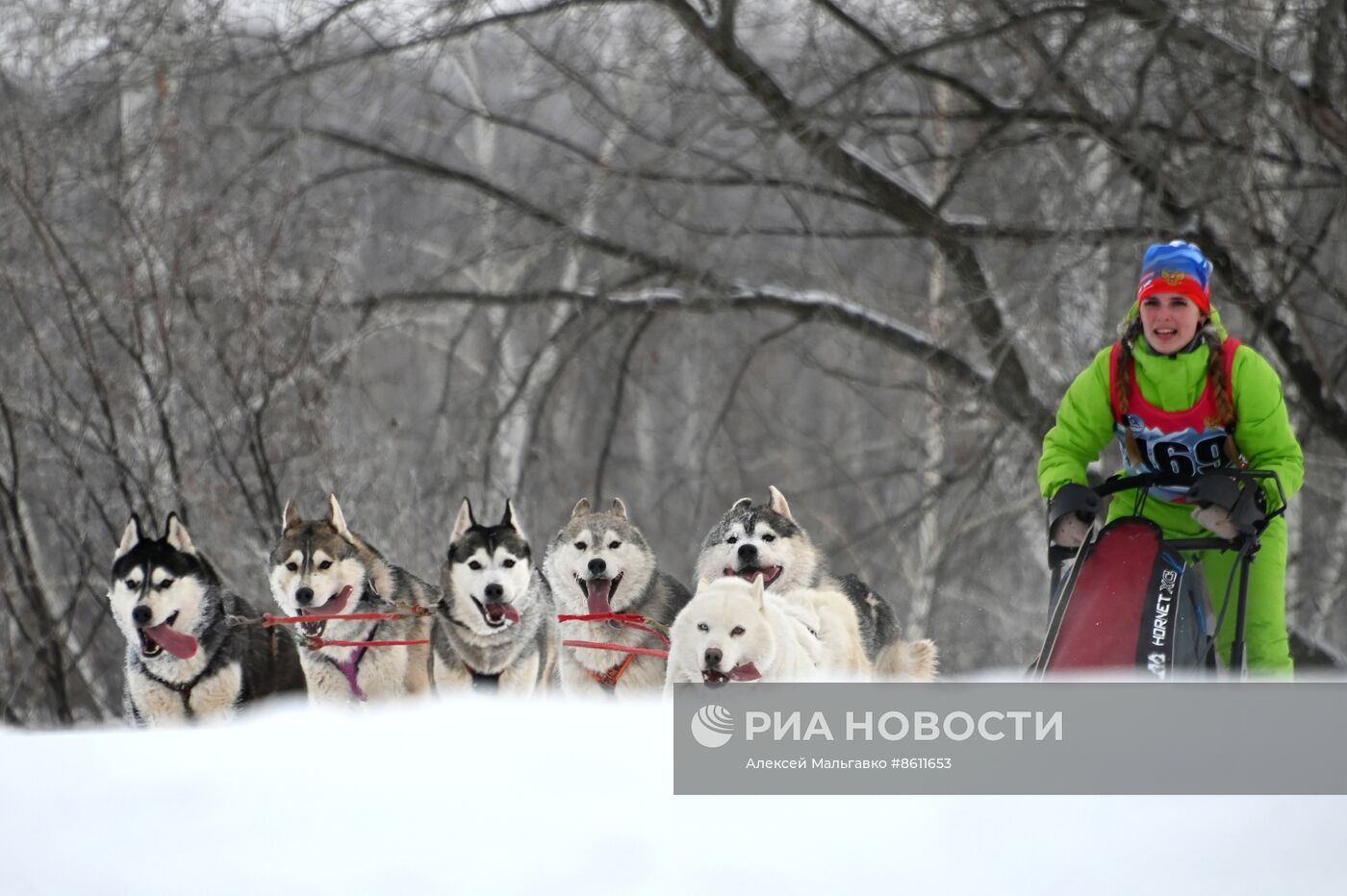 Соревнования по ездовому спорту в Омской области