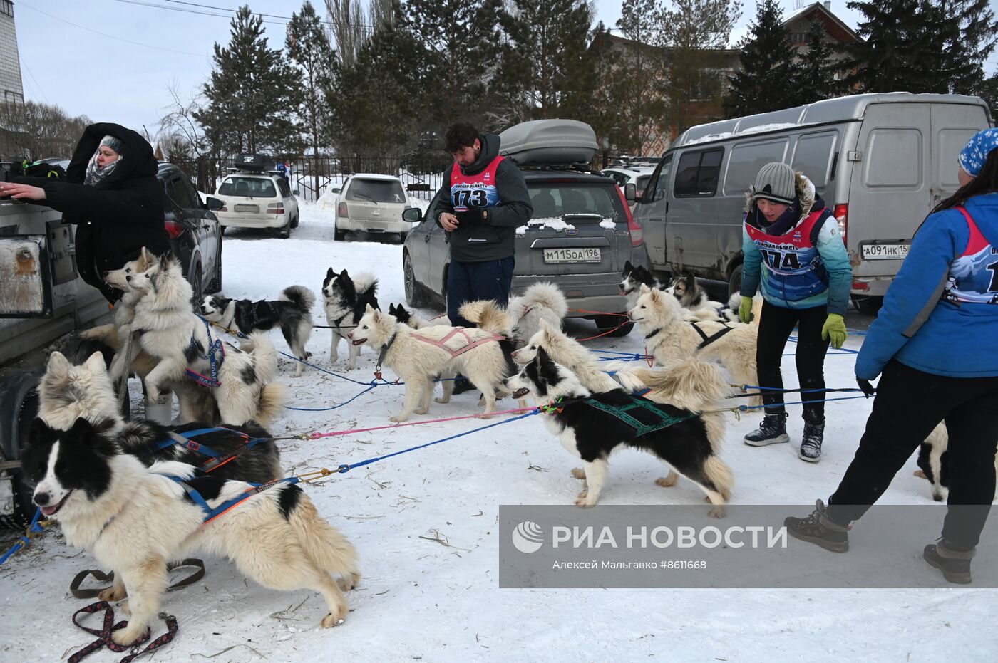 Соревнования по ездовому спорту в Омской области