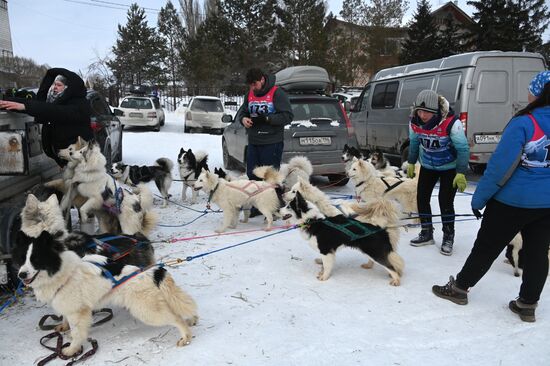 Соревнования по ездовому спорту в Омской области