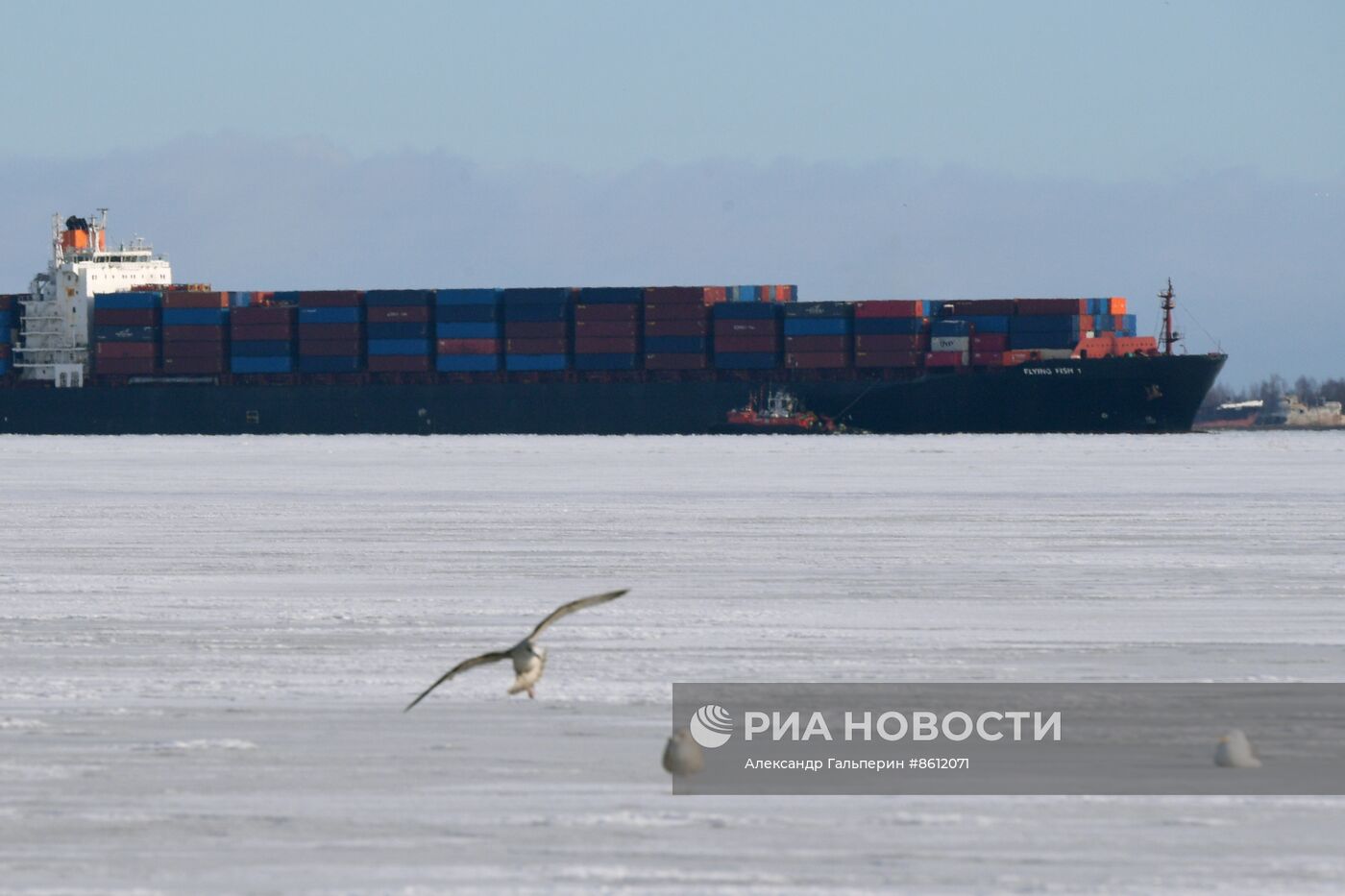 Контейнеровоз сел на мель у порта Бронка в Санкт-Петербурге