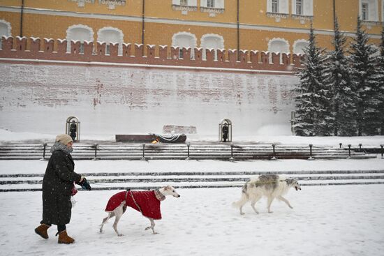 Снегопад в Москве