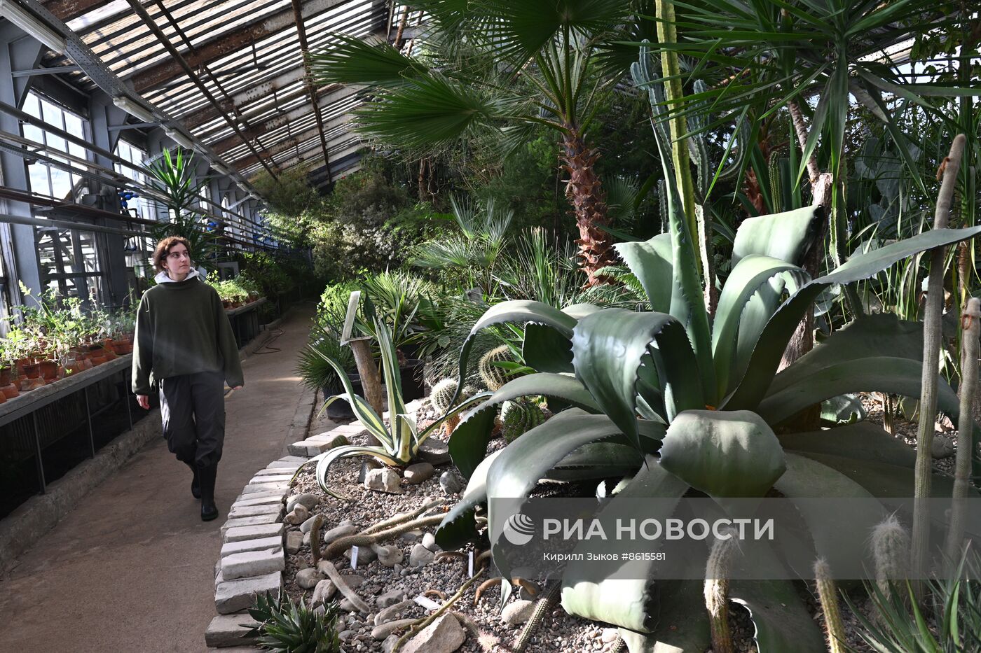 Главный ботанический сад имени Н.В. Цицина Российской академии наук