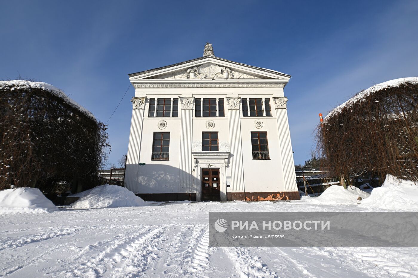 Главный ботанический сад имени Н.В. Цицина Российской академии наук