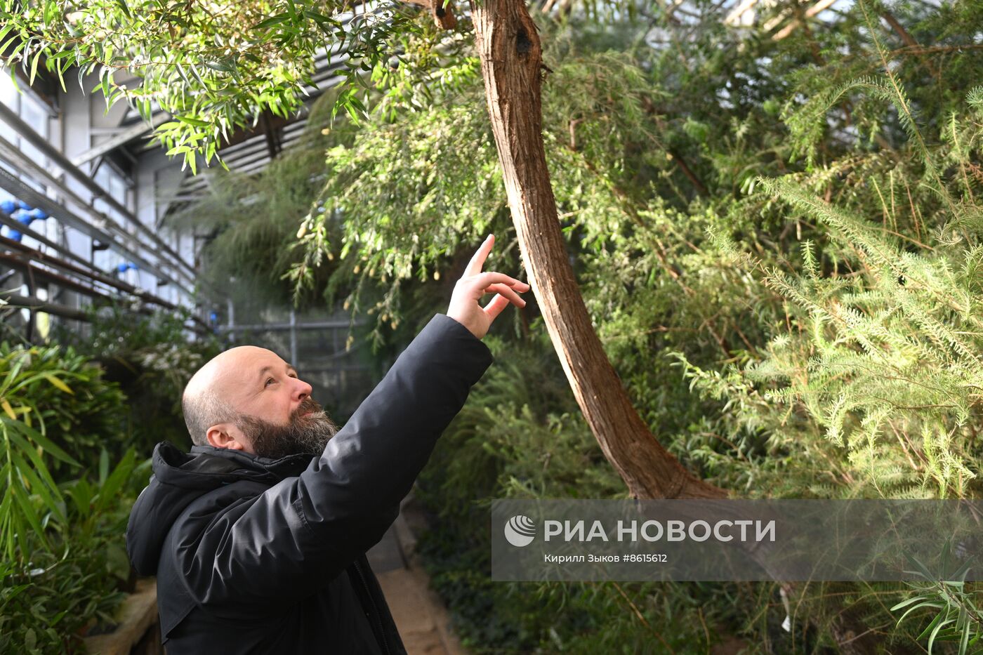 Главный ботанический сад имени Н.В. Цицина Российской академии наук